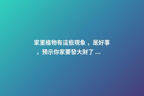 家里植物有這些現象，是好事，預示你家要發大財了！